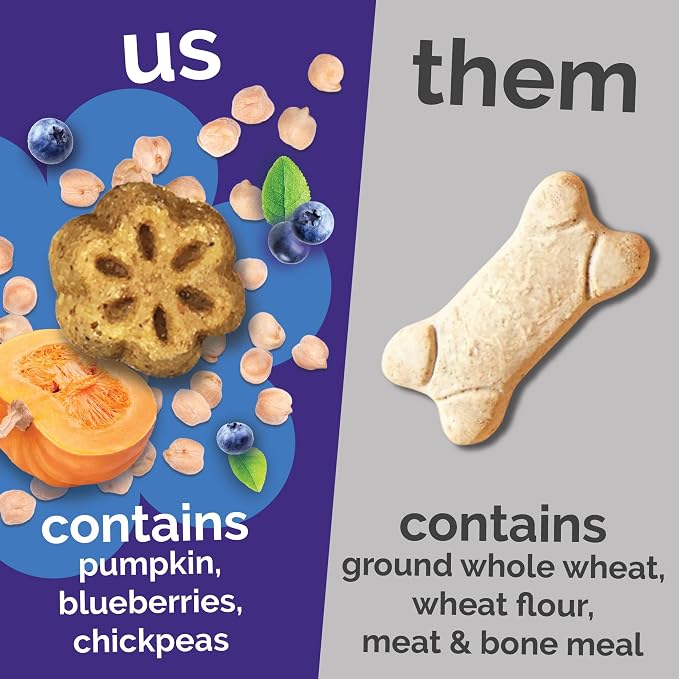 Fruitables Skinny Minis Soft & Chewy Dog Training Treats, Low Calorie Pumpkin & Berry Recipe, Bite-Sized Rewards for Puppies & Adult Dogs, No Wheat Corn or Soy, Made in USA, 20 oz