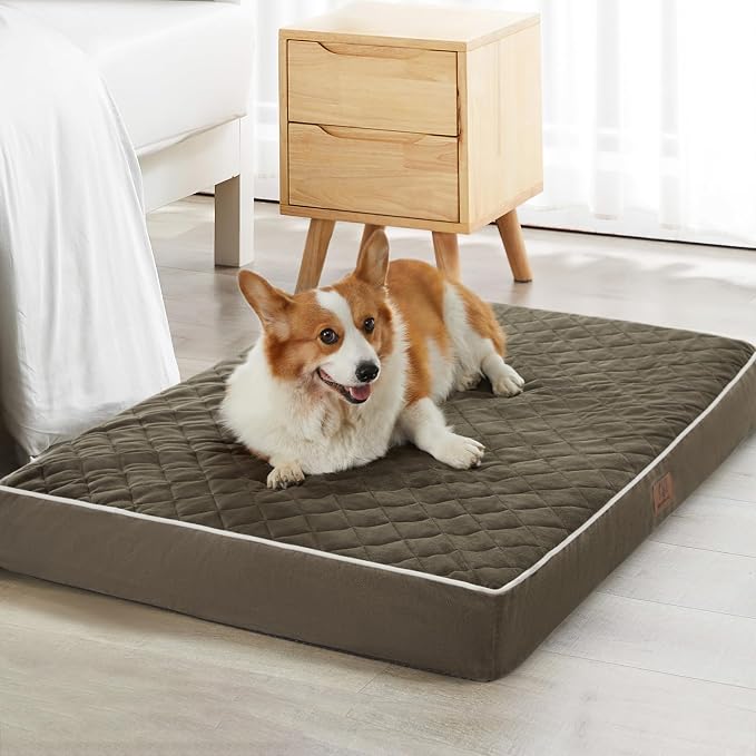 WNPETHOME Orthopedic Waterproof Extra Large Senior Dogs Bed for Comfy Sleep | XL Washable Ped Bed with Removable Cover, Multi-Needle Quilting XL Crate Bed for Large Sized Dog Relax, Dark Green 42x30 Inch