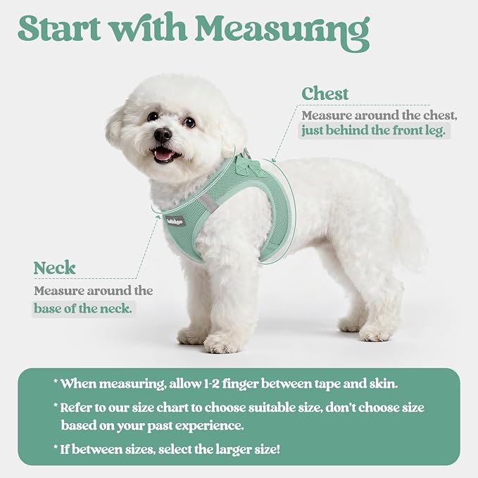 rabbitgoo Dog Harness Small Sized and Leash Set, Step-in Puppy Pet Vest | Light, Soft, Breathable Air Mesh, Easy on and Remove with Hook & Loop, Secure Reflective for Walking, Moss Green S