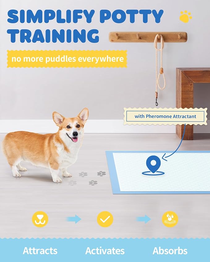 Powools Puppy Pads for Dogs, 38 x 28 in, 6-Layer, Leak-Proof, 75-Pack | XX-Large Pee Pads for Dogs Potty Training, Quick-Dry Design, Wee Wee Pads for Dogs, Puppy Training Pads