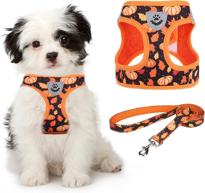 KOOLTAIL Fall Dog Harness and Leash Set for Small Medium Dogs, Thanksgiving Step in No Pull Comfort Padded Pet Vest, Adjustable Reflective Easy Walking Puppy Cats Harness Training, Leaf & Pumpkin S
