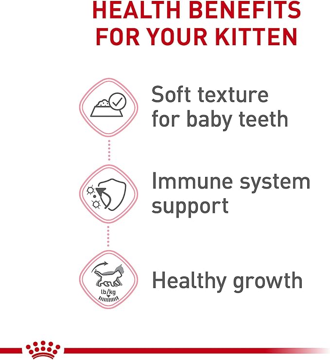 Royal Canin Feline Health Nutrition Kitten Thin Slices in Gravy and Loaf in Sauce Variety Pack Cat Food, 3 oz (Pack of 12)