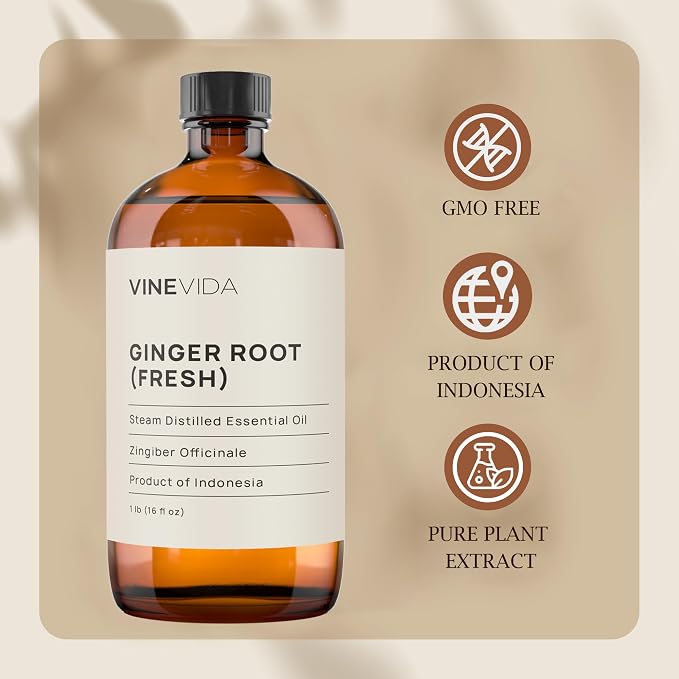 VINEVIDA Fresh Ginger Root Essential Oil 16 oz - Undiluted Ginger Root Oil 16 oz - Ginger Root Candle Oil Scent - DIY Candle Scents for Candlemaking - Bulk Essential Oil for Soap Making