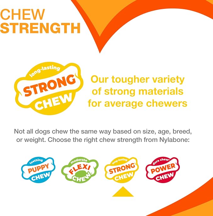 Nylabone Strong Chew Bun Treat Toy, Cheeseburger Flavor, Medium