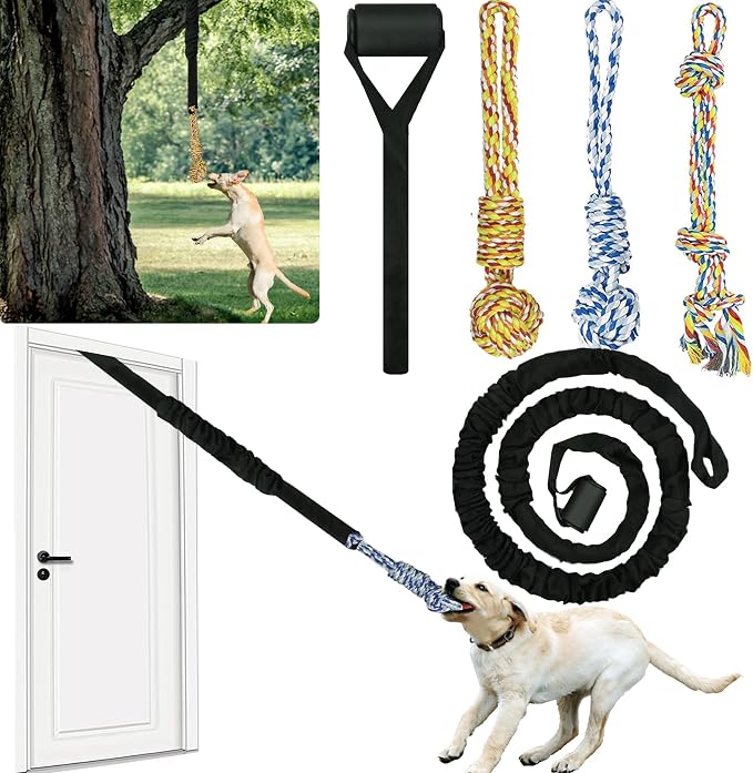 Interactive Dog Bungee Toy Rope Tug War for Pitbull Small Medium Large Dogs, Indoor/Outdoor Tree Hanging Toy for Exercise Solo Play,Spring Pole Interactive Toys with 3 Chew Rope