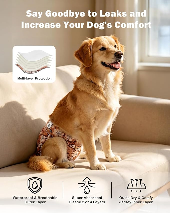 CuteBone Dog Diapers Female Washable Small Medium Large 3 Pack Reusable Doggie Diapers Puppy Period Pants for Doggy Heat Cycle Peeing