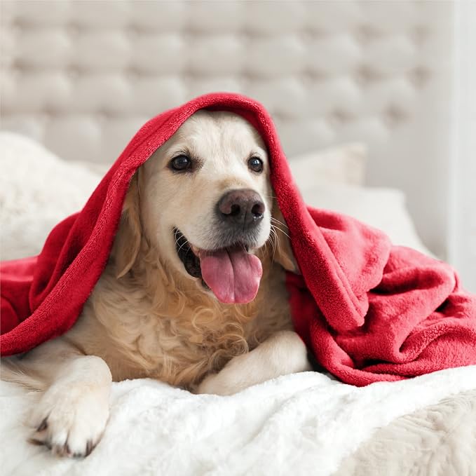BEDELITE Fleece Blanket Soft Plush Throw for Couch Red 50"x60" | Ultra Soft Fleece, Plush Microfiber, Lightweight Warmth, All Season Comfort, Fade Resistant, Machine Washable, Couch Sofa Bed