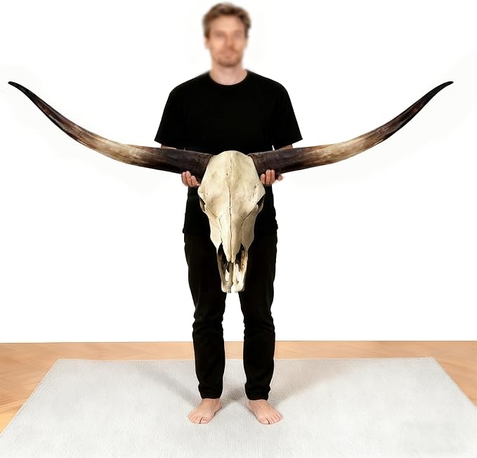 JUNTHORB 70in Longhorn Wall Decor, Extra Large Authentic Croissant，Cow Skull Wall Decor，cow horns, cow horn wall decoration, long horn skull，Handmade Farmhouse Decor