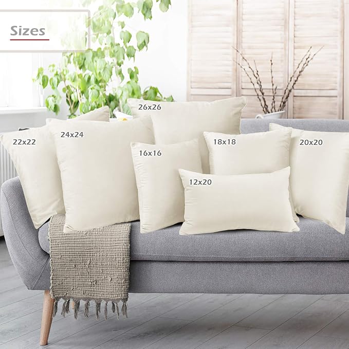 Throw Pillow Inserts Pack of 2 with Velvet Soft Solid Decorative Square Throw Pillow Covers Set for Sofa Couch Car Bedroom, 18X18 Throw Pillows Inserts with 16x16 Washable Cushion Covers, Off White