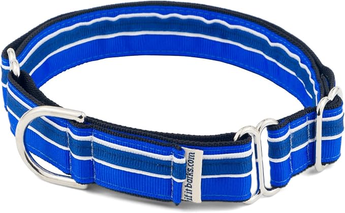 If It Barks 1" Martingale Collar for Dogs, Adjustable Nylon, USA Made,Blueberry,Small (11" - 15")