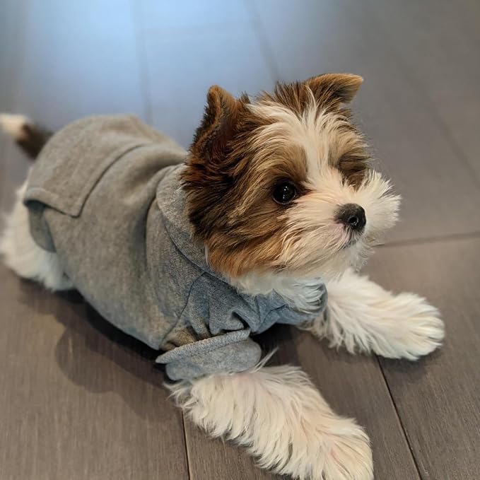 Soft Dog Hoodies for Small Dogs, Warm Fleece Puppy Clothes with Pocket | Jecikelon cold weather coat, cute puppy costume, breathable sweatshirt for dogs girl & boy, machine washable, easy on & off