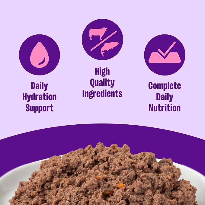 Wellness Complete Health Pate Adult Canned Wet Cat Food, Natural, Protein Rich, Grain Free, Beef and Salmon Entrée Recipe, 3 oz, Pack of 24 Cans
