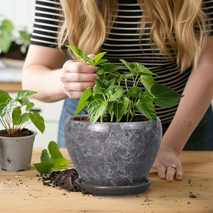 Ceramicfor Ceramic Planter - 6 Inch Plant Pot with Drainage Hole and Saucer, Succulent Pot Glaze Round Flower Pot for Indoor Outdoor Plants, Gray