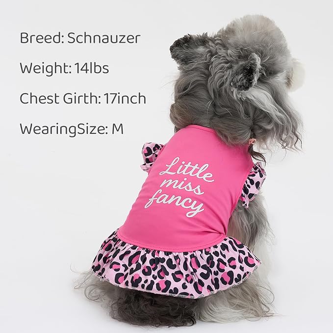 XPUDAC 4 Pack Cute Dog Dress for Small Dog, Floral Puppy Dress Sweet Girl Pet Skirt Outfits Colorful for Birthday Holiday Spring Summer Pet Clothes for Girls, M