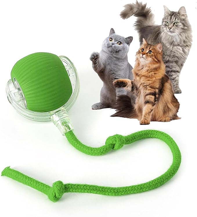 Rocfish Durable Interactive Cat Toys for Indoor Cats (Green, 01)