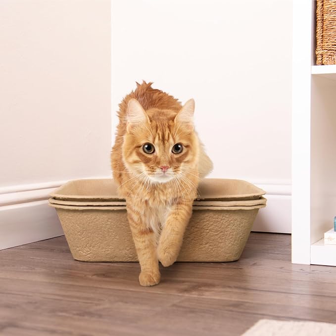 Kitty Sift (Set of 1 Litter Box & 5 Sifting Liners) Disposable Sifting Cat Litter Box Jumbo, 6 Count, Durable and Portable for Travel with Odor Control
