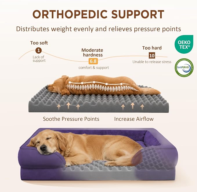 Comfort Expression Waterproof Orthopedic Dog Beds for Extra Large Dog | Supportive Egg Crate Foam XL Dog Bed with Removable Bolster, Dog Couch with Washable Cover & Non-Slip Bottom, 45x35 Inch