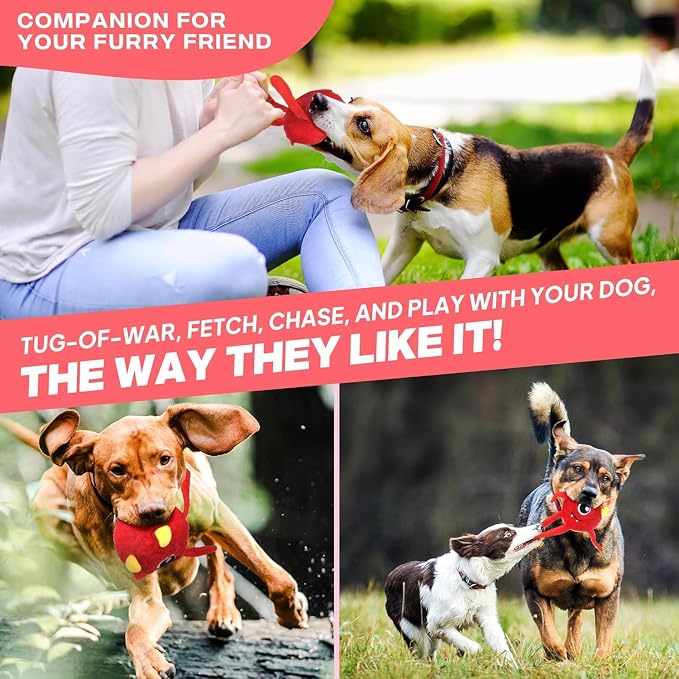 Fida Dog Toys for Aggressive Chewers, 3 in 1, Tough Squeaky Ball, Red