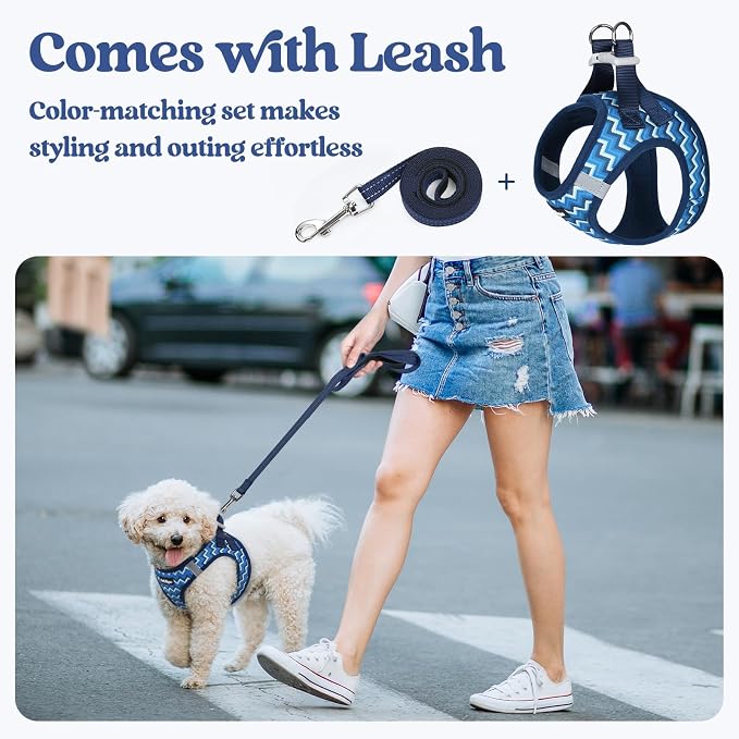 rabbitgoo Dog Harness Small Sized and Leash Set, Step-in Puppy Pet Vest | Light, Soft, Breathable Air Mesh, Easy on and Remove with Hook & Loop, Secure Reflective for Walking, Blue Zigzag XXS