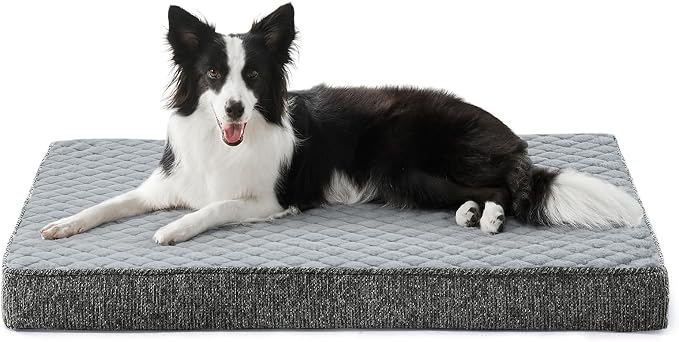 JOEJOY Orthopedic Dog Bed for Large Dogs, Washable Dog Crate Bed Large Sized with Removable Cover, Egg Memory Foam Big Pet Beds, Light Grey, 35"x22"