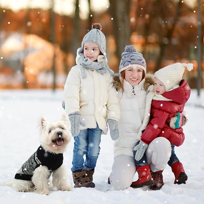 Mihachi Dog Sweater for Small Medium Dogs, Soft Warm Shirt, Cold Weather Coat Turtleneck Knitted Pullover Clothes With Leash Hole for Large Cat Puppy Pet, Black SM