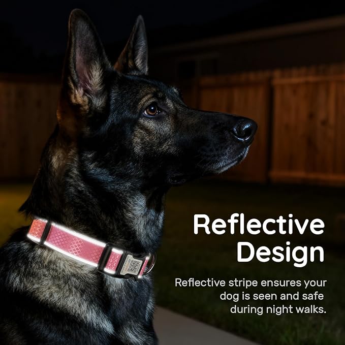 Reflective Dog Collar with QR Code Tag, Neon Pink L (15.7"-23.6")