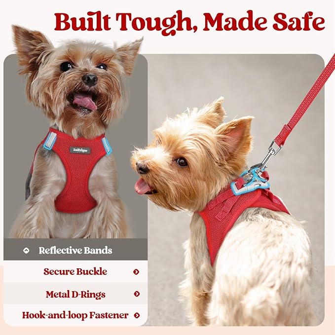 rabbitgoo Dog Harness Small Sized and Leash Set, Step-in Puppy Pet Vest | Light, Soft, Breathable Air Mesh, Easy on and Remove with Hook & Loop, Secure Reflective for Walking, Red XS