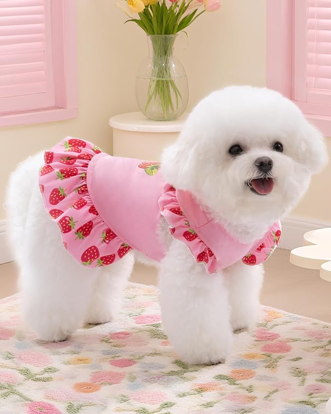 XPUDAC 4 Pack Dog Dresses Cute Printed Puppy Dress for Small Dogs Girl Puppy Clothes Chihuahua Yokie Clothes Doggie Outfits Cat Apparel, Medium(Chest-17.6")