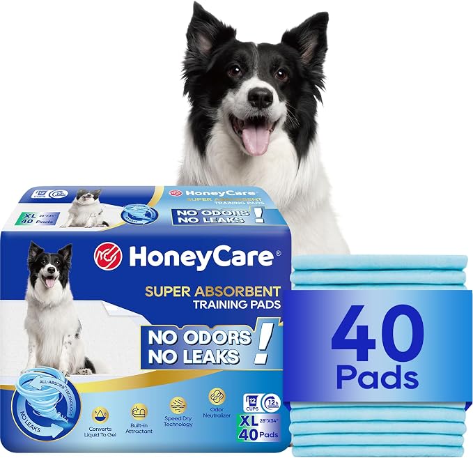HONEY CARE All-Absorb, X-Large 28" x 34", 40 Count, Dog and Puppy Training Pads, Ultra Absorbent and Odor Eliminating, Leak-Proof 5-Layer Potty Training Pads with Quick-Dry Surface, Blue