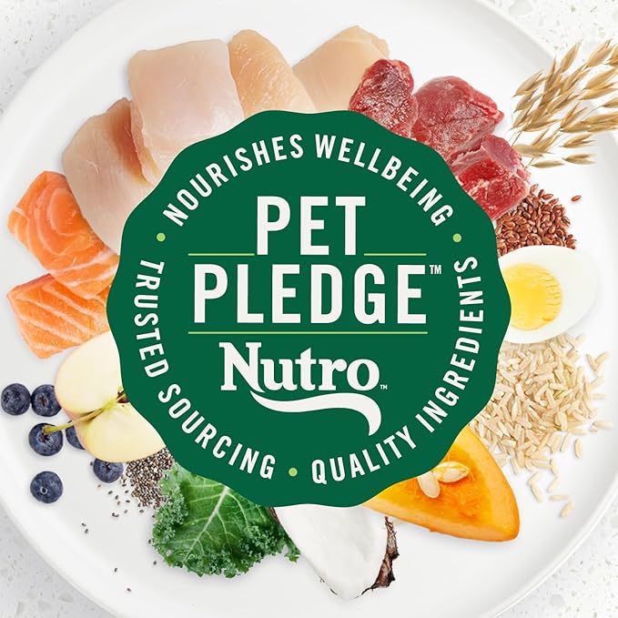 Nutro Ultra Small Breed Adult Dry Dog Food, Chicken, Lamb & Salmon, 12 lb | High-protein trio, Non-GMO, no corn, wheat, soy, 14 superfoods blend, Omega 3 & 6 fatty acids, essential antioxidants
