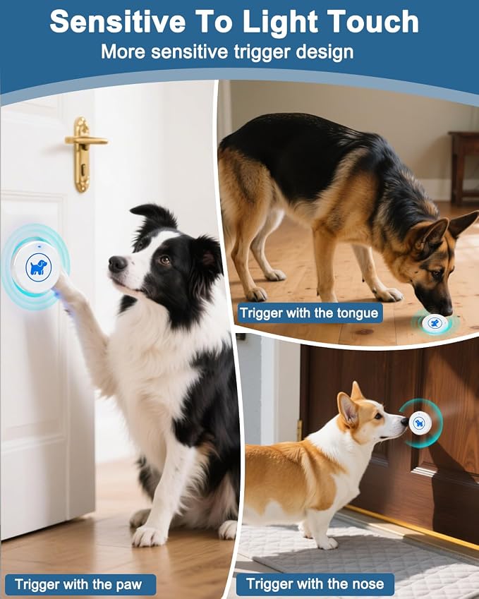 Dog Door Bell 2026 Enhanced Touch, Wireless Doggie Doorbell for Potty Training to Go Outside, IP65 Waterproof, 1000ft Range, 55 Melodies, 5 Modes & Adjustable Volume (2 Receivers+2Buttons-WIHTE)