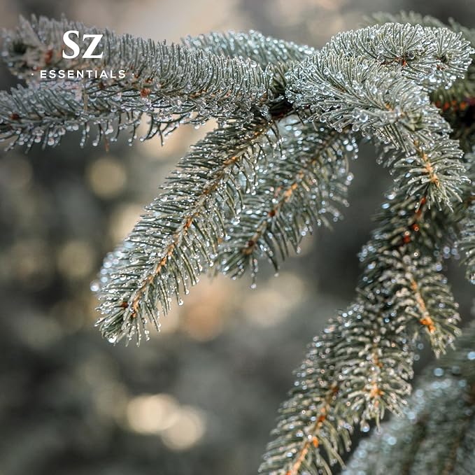 Silver Fir Essential Oil - Delightful! - 100% Pure and Natural - Undiluted - 5ml