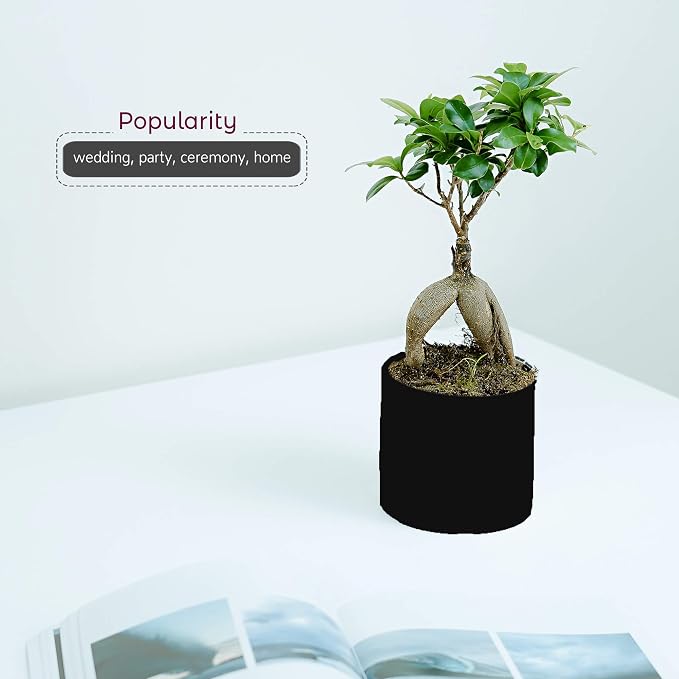 WGVI Matte Black Ceramic Cylinder Vase Width 5.5" Height 5", Flower Arrangements, Candle Holder, Terrarium Planter Pot, Storage Container Organizer, Pen Brush Holder, Home Tabletop Decor, 1 Piece