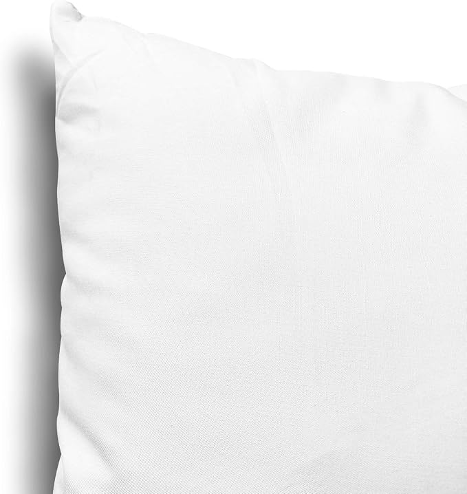 EDOW Throw Pillow Insert, Lightweight Soft Polyester Down Alternative Decorative Pillow, Sham Stuffer, Machine Washable. (White, 14x14)