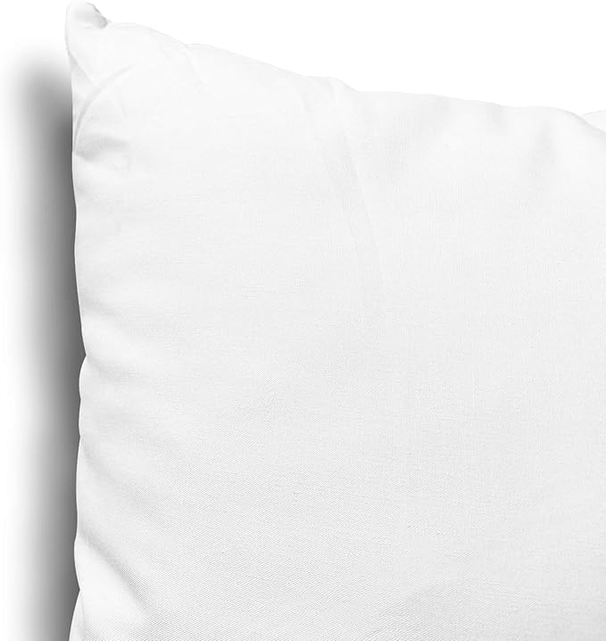Edow Throw Pillow Insert, Lightweight Soft Polyester Down Alternative Decorative Pillow, Sham Stuffer, Machine Washable 12x12 (White, 4 Count (Pack of 1))