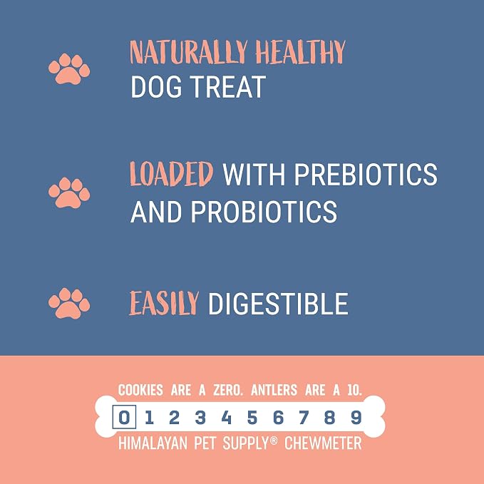 Himalayan Dog Chew Yogurt Sticks, Bacon Flavor, 5 Pieces, Pack of 4 | Prebiotic & Probiotic | Grain-Free | USA Made