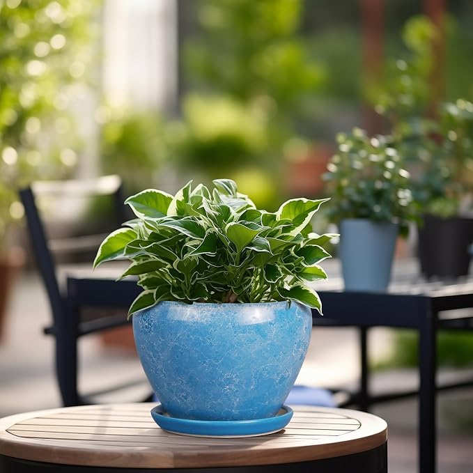 Ceramicfor 6 Inch Plant Pot - Ceramic Planter Pot with Drainage Hole and Saucer, Glaze Succulent Pot Modern Round Flower Pot for Indoor Plants, Blue