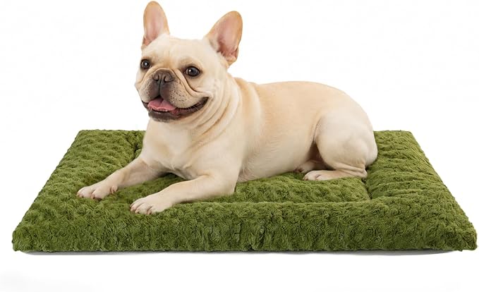 Exsnugy Washable Dog Bed Mat Medium Size Fluffy Pet Crate Pad 30x19 | Non-Slip Bottom Kennel Beds Ultra Soft Comfy Sleeping Mattress for Large Medium Small Dogs Green