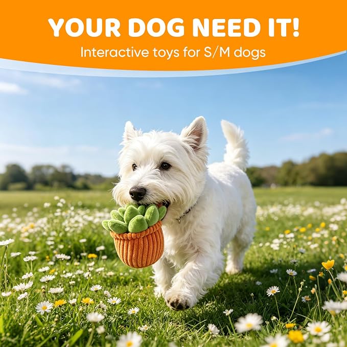 Furvana Succulent Plush Dog Toy, 2-in-1 Interactive Squeaky Chew Toy with Crinkle Layers for Medium, Large Dogs and Puppies (Round Succulent)