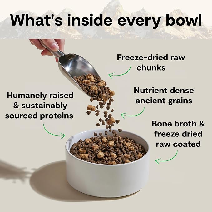 Open Farm RawMix Ancient Grains Dry Dog Food, Large Breed Kibble, 20lb Bag | Wild Caught Salmon, Humanely Raised Chicken & Turkey, Freeze Dried Raw Chunks, 100% Traceable Ingredients.