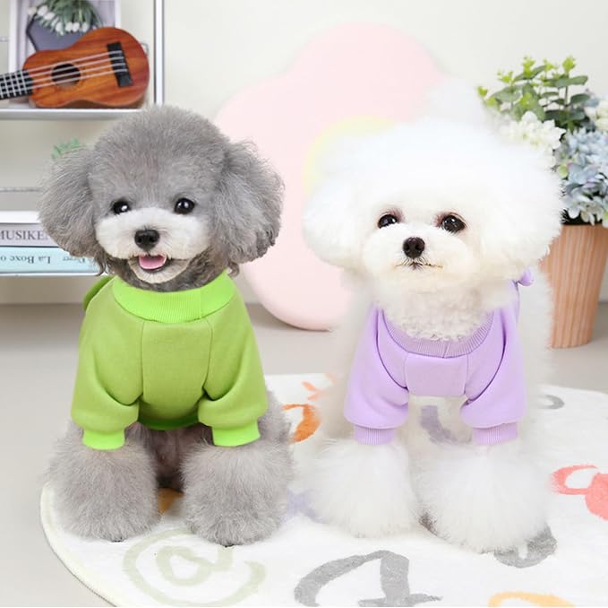 Purple Cute Dog Sweater Soft Winter Clothes for Small Dogs, XL | Classic Purple Knit Pullover, Fall Winter Outfit, Elastic Cuffs, Holiday Party Matching, Machine Washable Sweatshirt for Pets