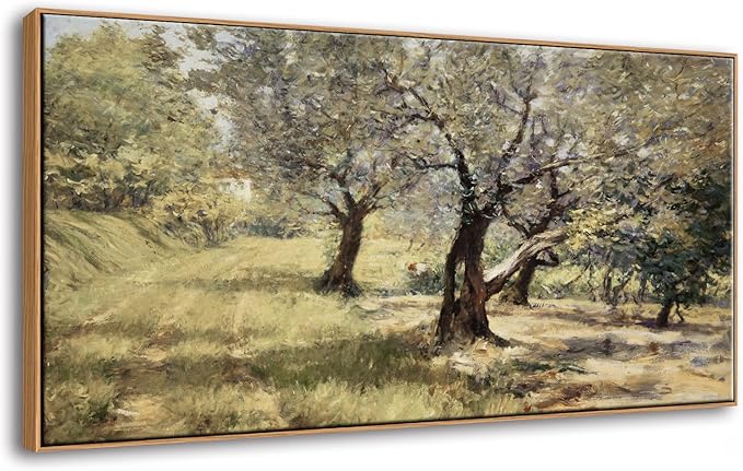 DJSYLIFE Large Framed Wall Art, Vintage Olive Grove Landscape, 20x40 Inch | Farmhouse Tree Canvas Print, Solid Wood Frame, Ready to Hang, Fade-Resistant Ink, Decor for Living Room, Bedroom, Above Bed