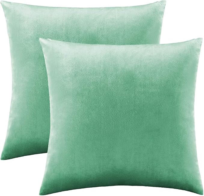 GIGIZAZA Mint Turquoise Velvet Decorative Throw Pillow Covers for Sofa Bed 2 Pack Soft Cushion Cover