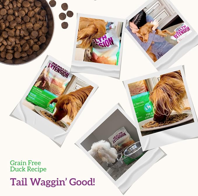 Health Extension Grain Free Duck & Sweet Potato Dry Dog Food - 30+ Superfoods and Probiotics for All Life Stages (23.5 lb)