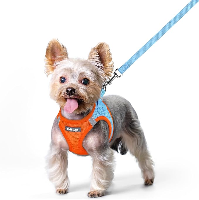 rabbitgoo Dog Harness Small Sized and Leash Set, Step-in Puppy Pet Vest | Light, Soft, Breathable Air Mesh, Easy on and Remove with Hook & Loop, Secure Reflective for Walking, Blue & Orange XS