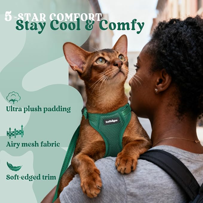 rabbitgoo Cat Harness and Leash, Easy-on with Neck Buckle, Dark Green