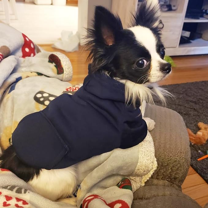 Soft Dog Hoodies for Small Dogs, Warm Fleece Puppy Clothes with Pocket | Jecikelon cold weather coat, cute puppy costume, breathable sweatshirt for dogs girl & boy, machine washable, easy on & off