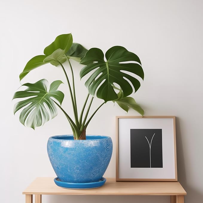 Ceramicfor 6 Inch Plant Pot - Ceramic Planter Pot with Drainage Hole and Saucer, Glaze Succulent Pot Modern Round Flower Pot for Indoor Plants, Blue