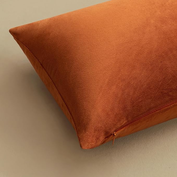 MIULEE Velvet Fall Throw Pillow Covers 20x20 Inch Pack of 2 Rust | Soft Solid Decorative Pillow Covers, Modern Luxury Home Decor, for Couch Chair Sofa Bedroom Livingroom