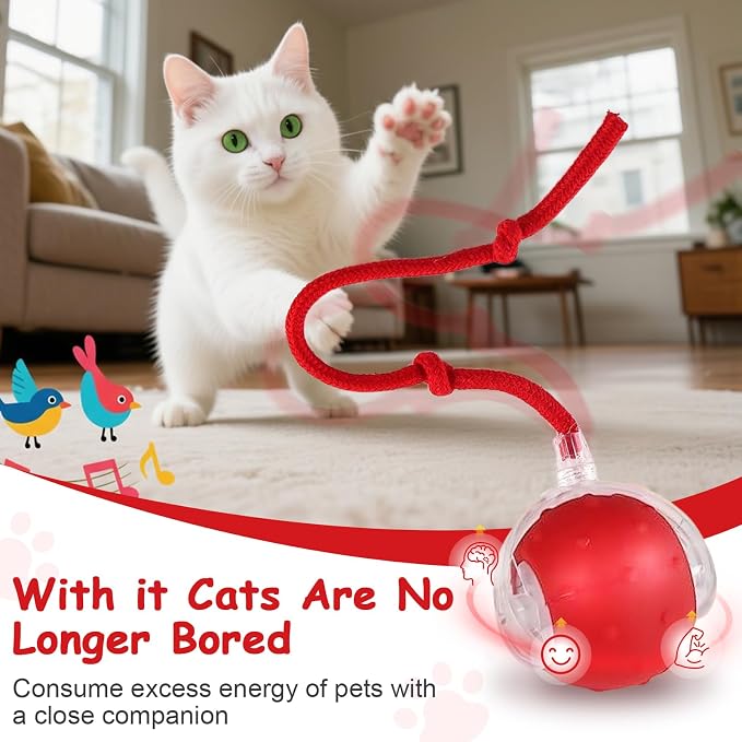 Interactive Cat Toys Smart Ball for Cats & Dogs! Now with 2 Rapid Tails. Features: 360°Auto-Rolling, Motion Activation& Bird Sounds. Perfect for Indoor Pet Exercise & Fun. (Red＆Blue)